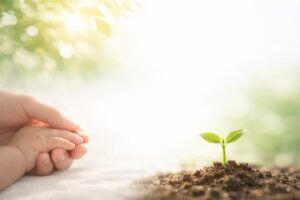 赤ちゃんの名付け姓名判断鑑定占いをイメージした親子の重なる手と新芽（地格１画）