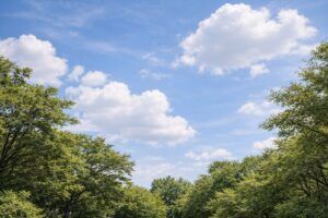 赤ちゃんの名付けや姓名判断を考える親御様の気持ちを整える、青空を中心にした穏やかで静かな自然風景イメージ（地格16画）